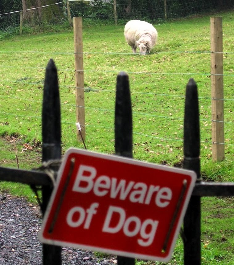 [Roman_Affoltern.jpg]