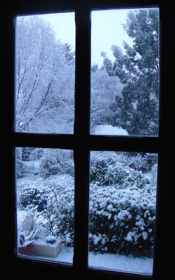 Grune Insel Irland Ganz In Weiss Irland News