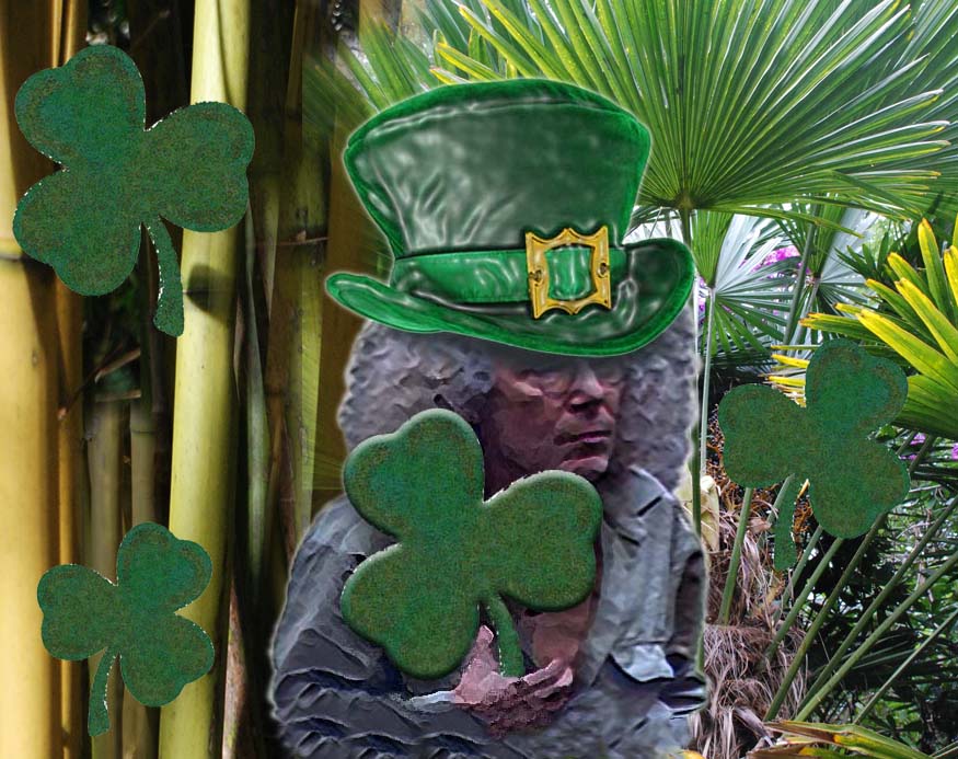 Ich Bin Ein Ire Holt Mich Hier Raus Irland News