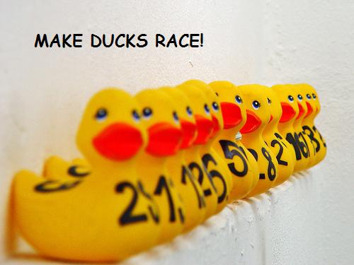 [duck2.JPG]