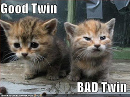 Two little kitties
