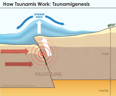 Formation of tsunamis