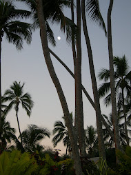 Fiji