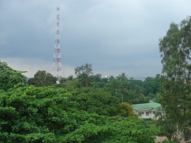 [DSC01799.JPG]