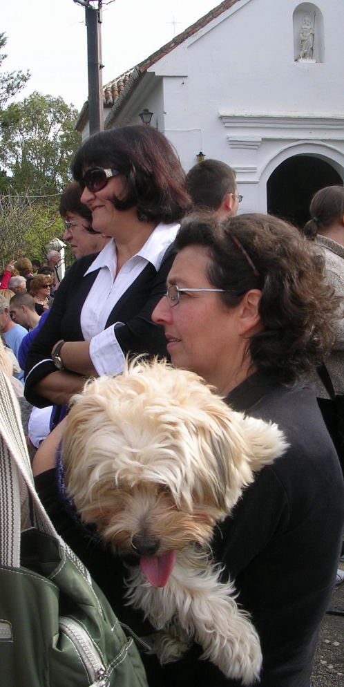 [image0004.jpg]