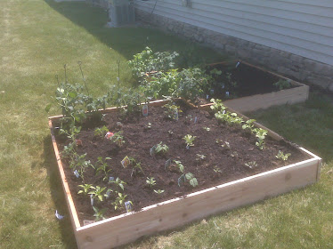 Raised Garden Bed