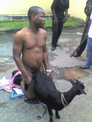 manusia oh manusia! Nigerian+Man+Caught+Having+Sex+With+A+Goat