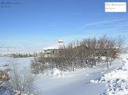 Where I Live