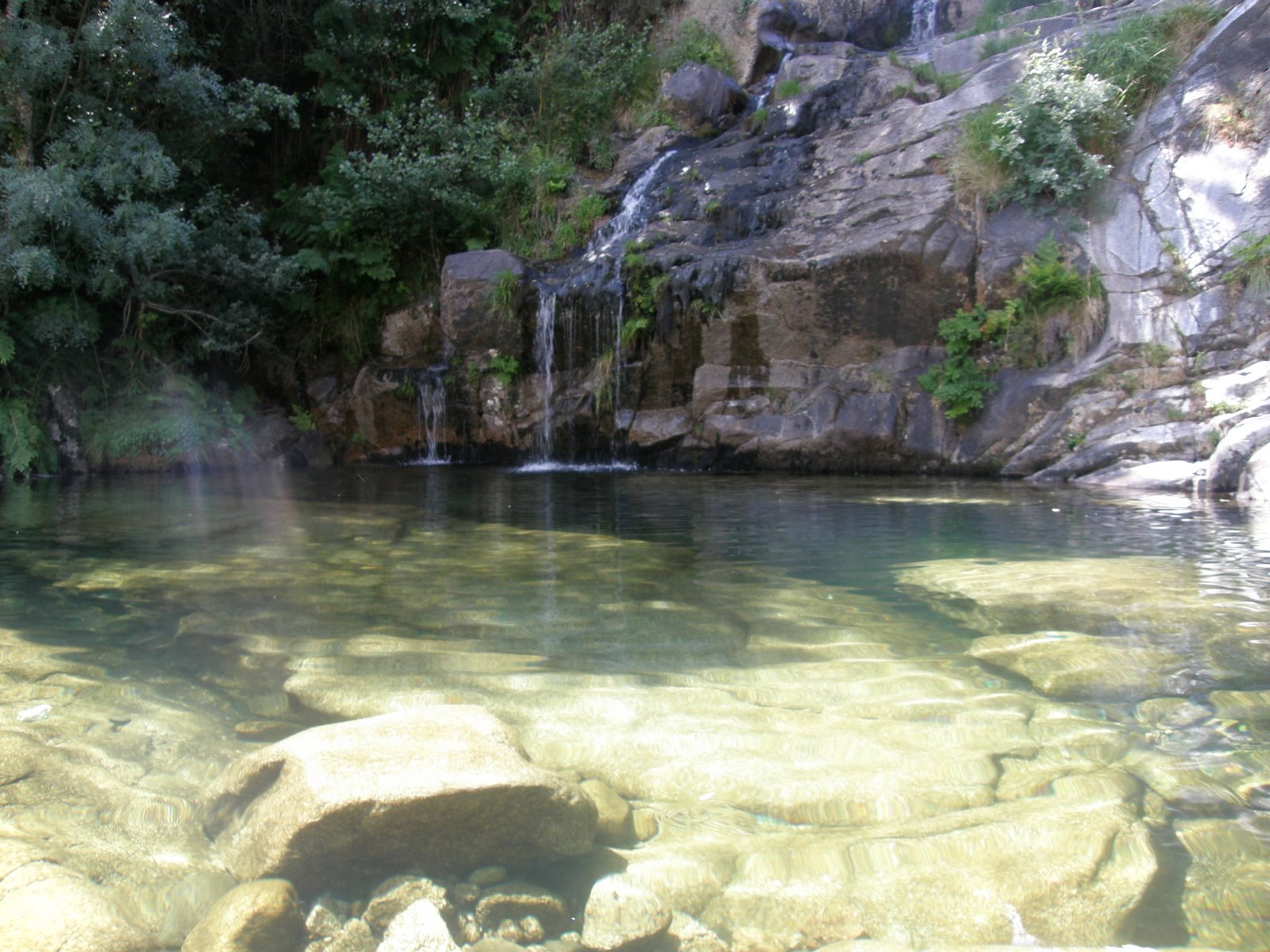 [P8140053.JPG]