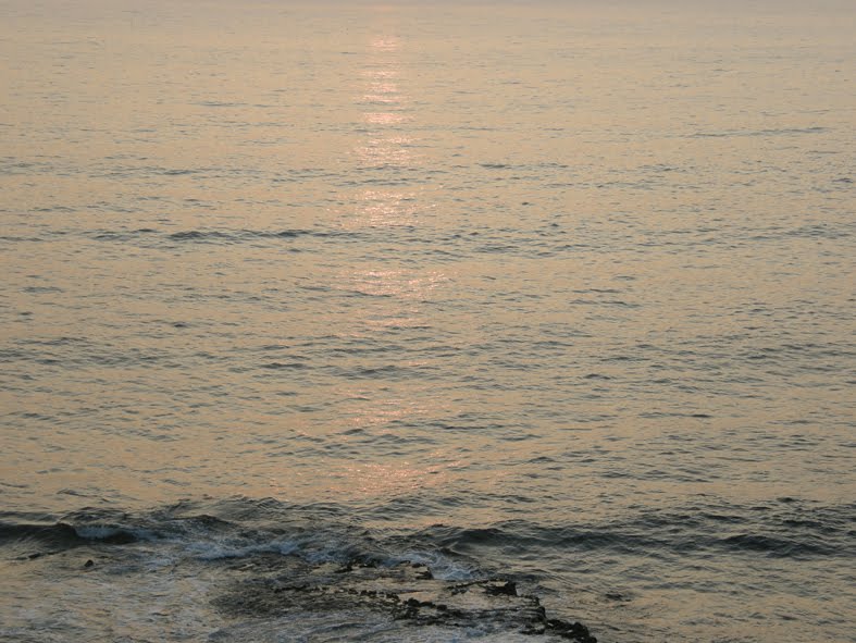 [P9260295+copy.jpg]