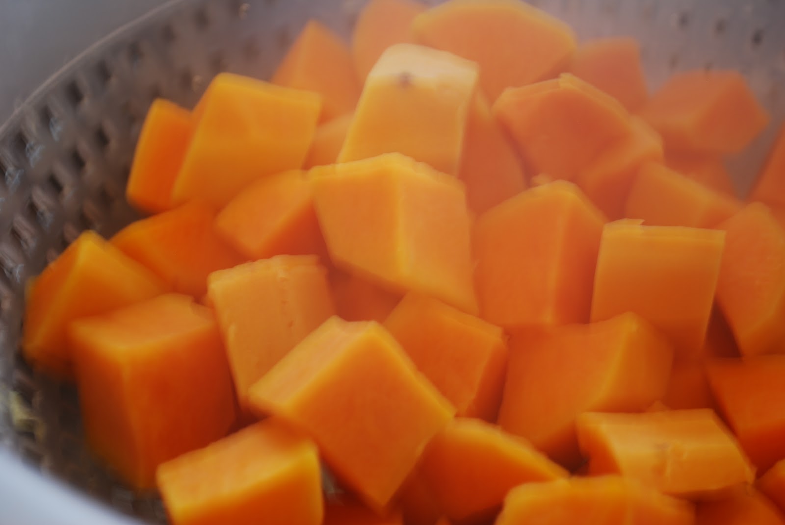 Jen's Gone Paleo Dehydrated Food for Travel, Camping, or Just Enjoying