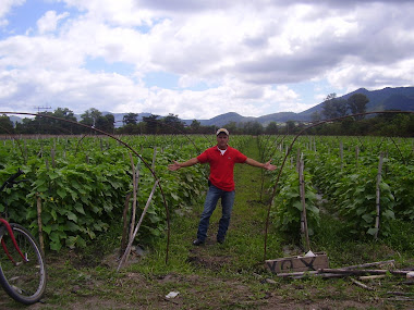 trabajador