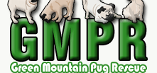 Green Mountain Pug Rescue