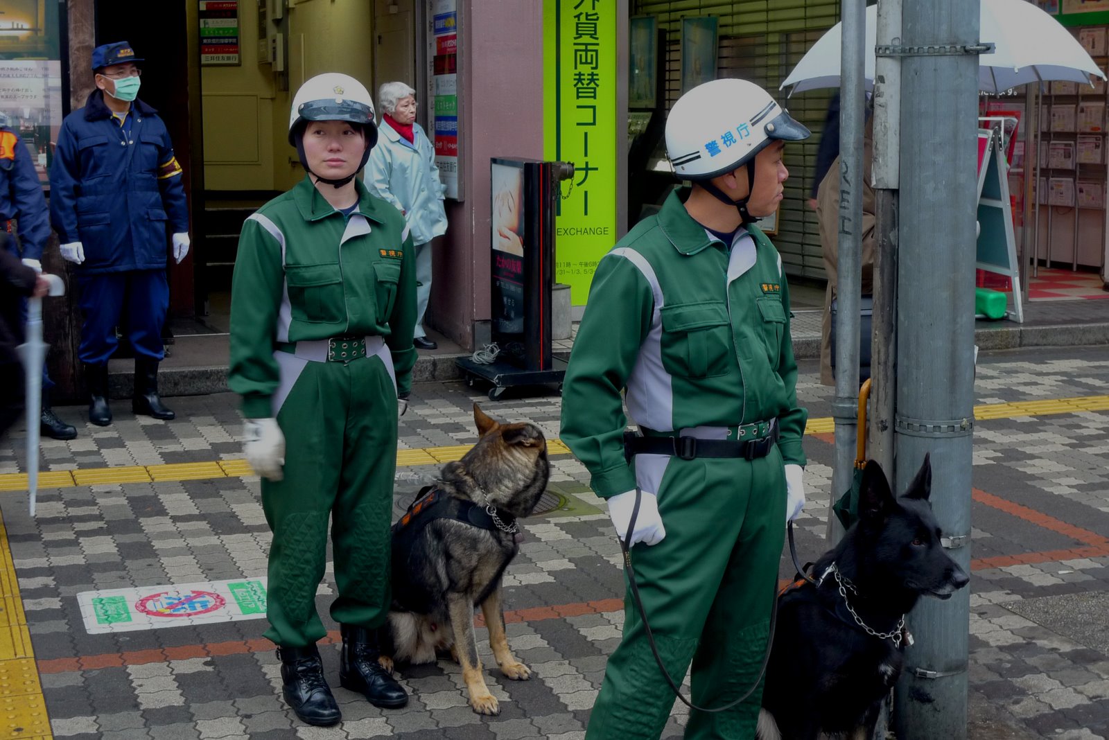 [Green+Uniform+Dog+Handlers.jpg]