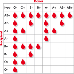 in which blood types must