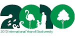 International Year Of Biodiversity 2010