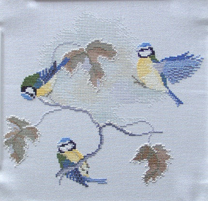 [WIP+Bluetits+28Feb.jpg]