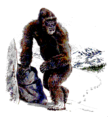 [ieti.gif]