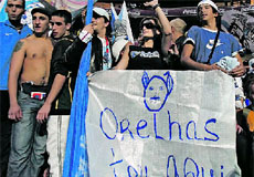[ORELHAS.jpg]