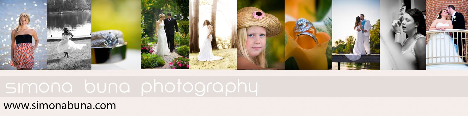 Indianapolis Indiana, Chicago Illinois, destination Wedding Photographers