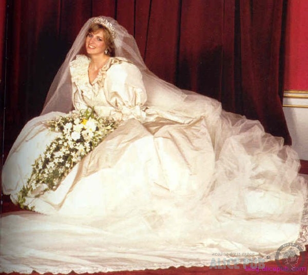 princess diana wedding dress kansas. princess diana wedding dress