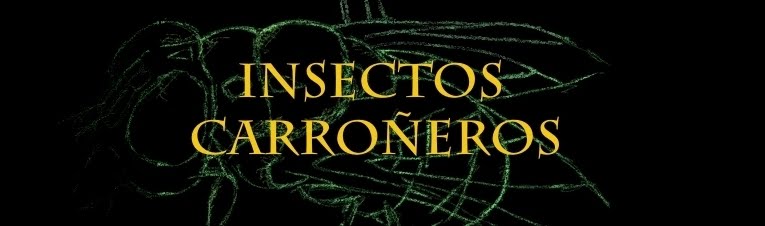 Entomología Forense