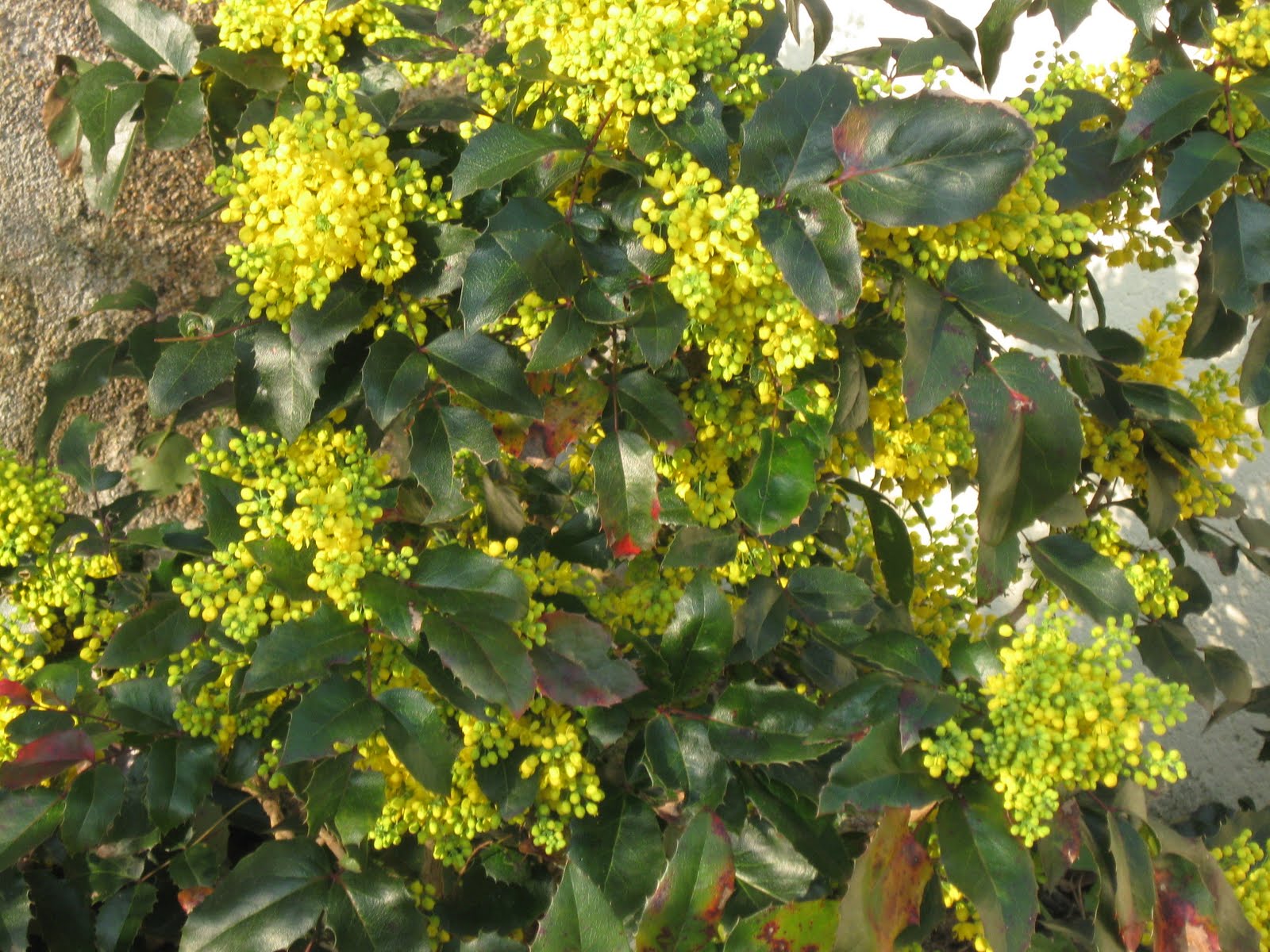 Reveries Instants De Mars