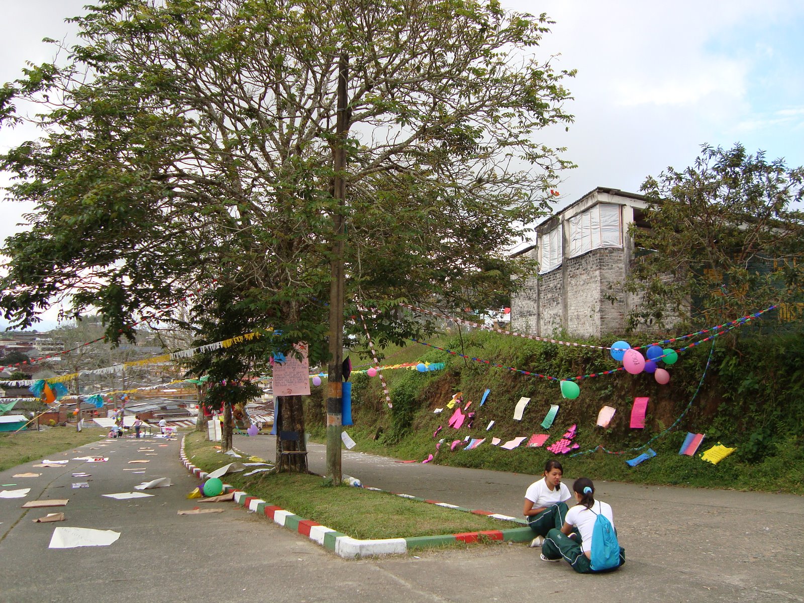 [DSC00115.JPG]