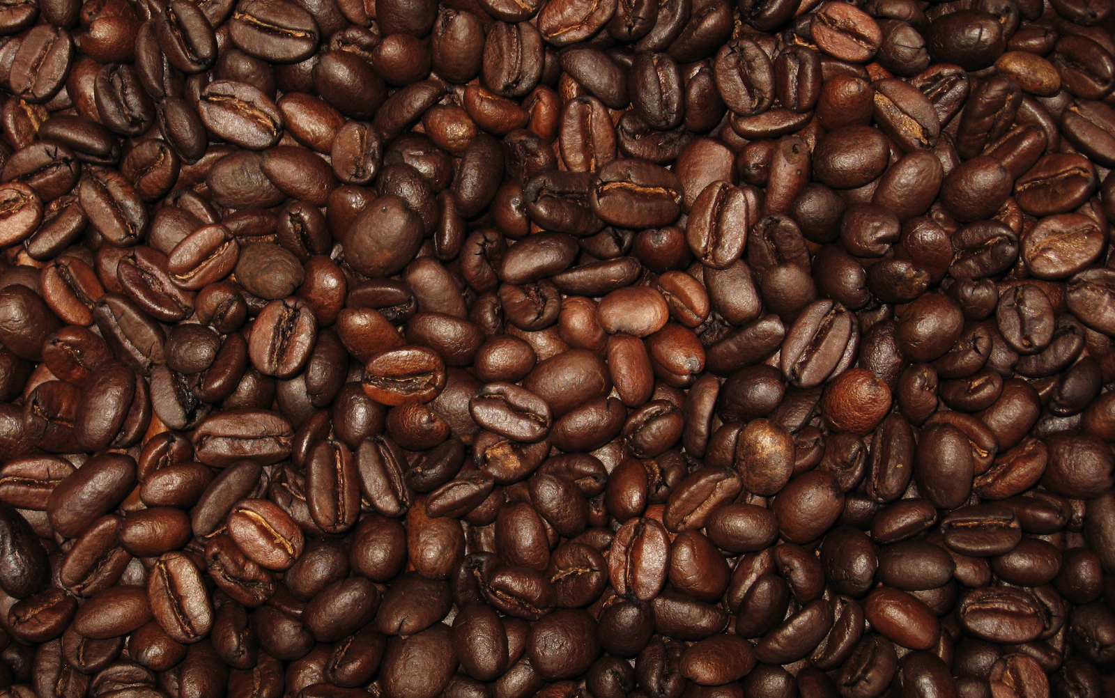 http://2.bp.blogspot.com/_Iq1fkO6qus0/TU8k5tykHzI/AAAAAAAAAxw/OIZvpxwEaqg/s1600/coffee-bean-wallpaper_7220111.png