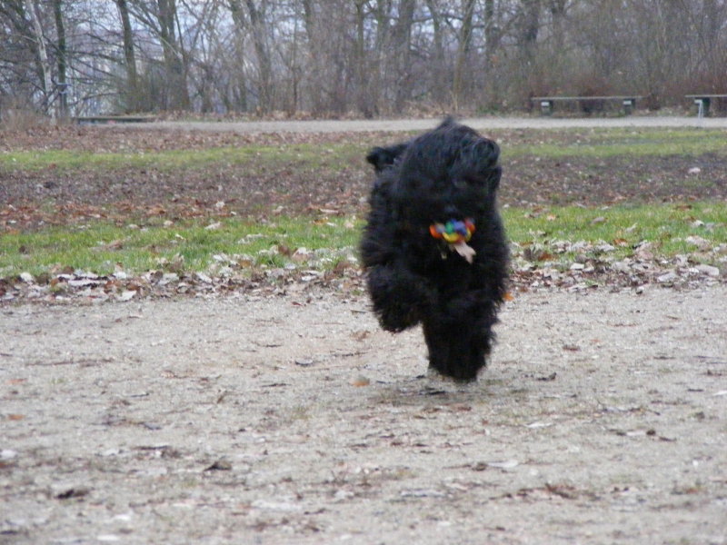 [weihnachtsball5.jpg]