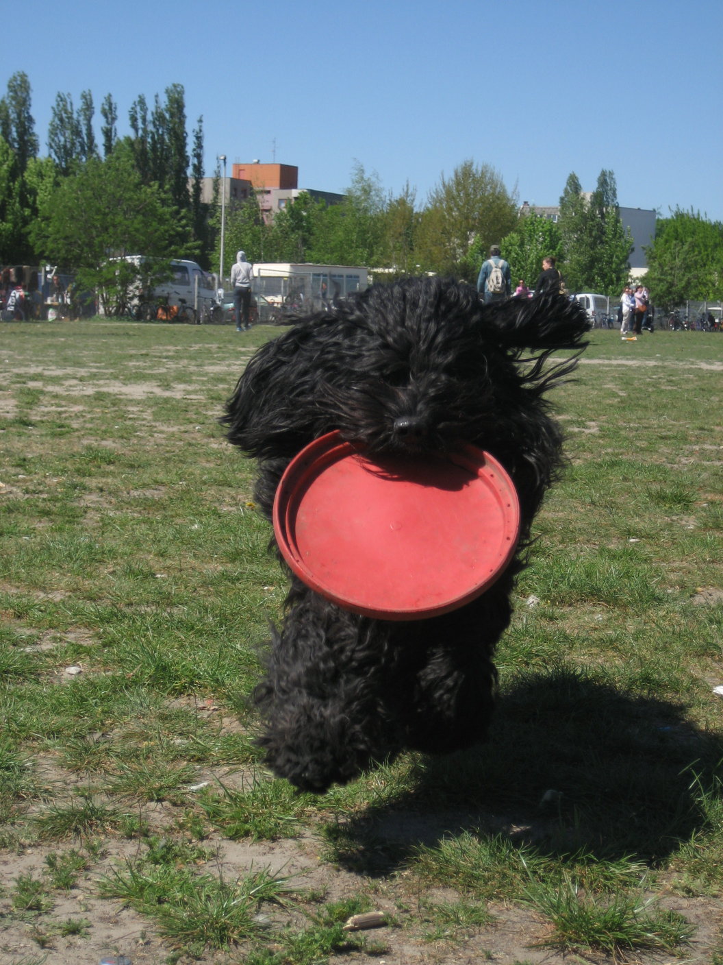 [disc+training+so29_17.jpg]