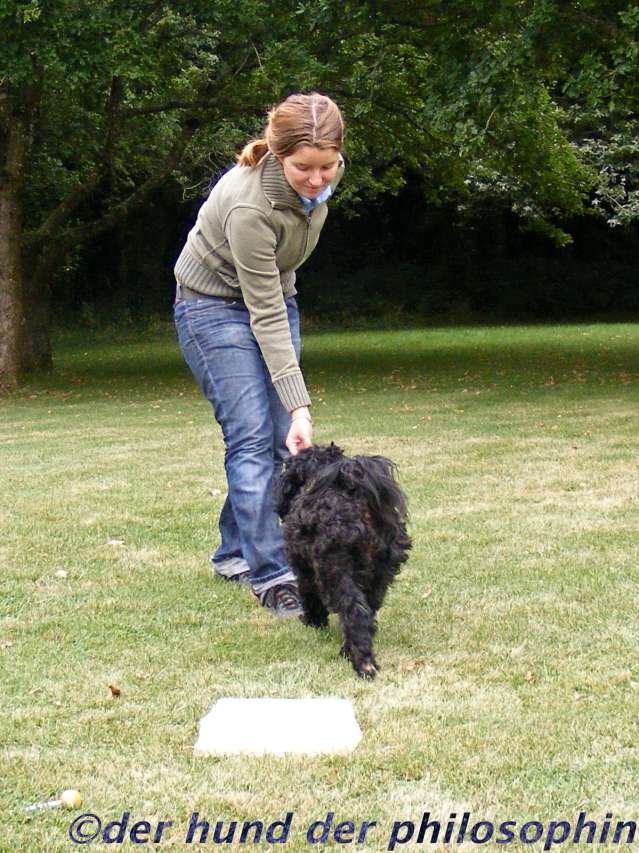 [DSCF0046_2wtmk.jpg]