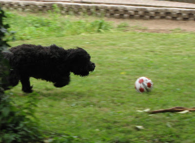 Wm 2018 3 Thesen Warum Das Finale Fur Die Wm Steht Der Spiegel