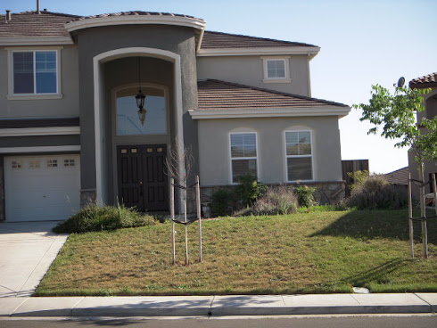 Front-yard Landscaping - Before