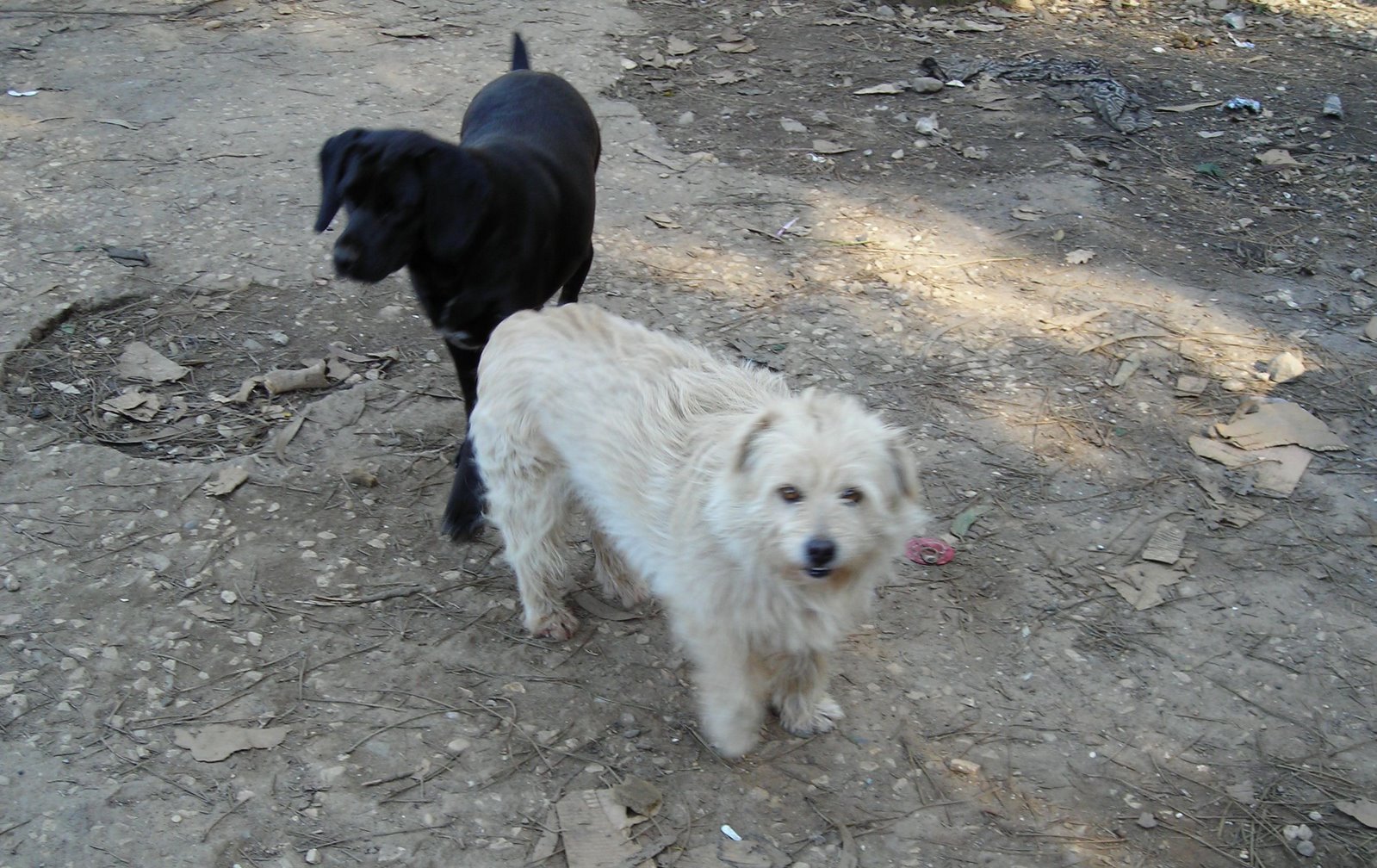 [DSCN2117.JPG]