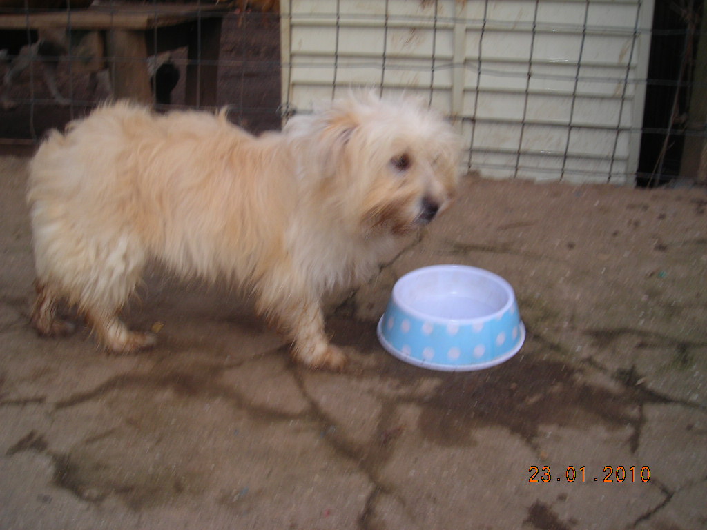 [DSCN3223.JPG]