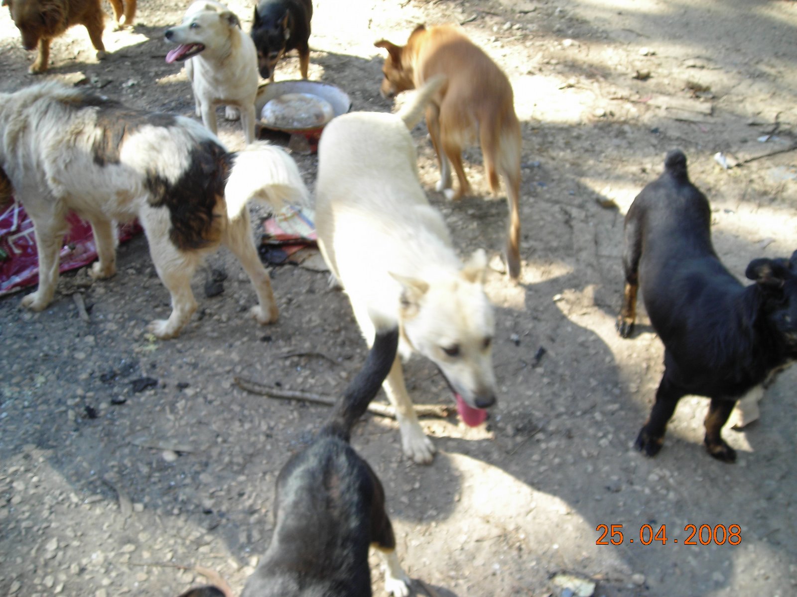[DSCN3427.JPG]