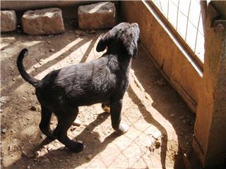 [GetAttachment3.jpg]