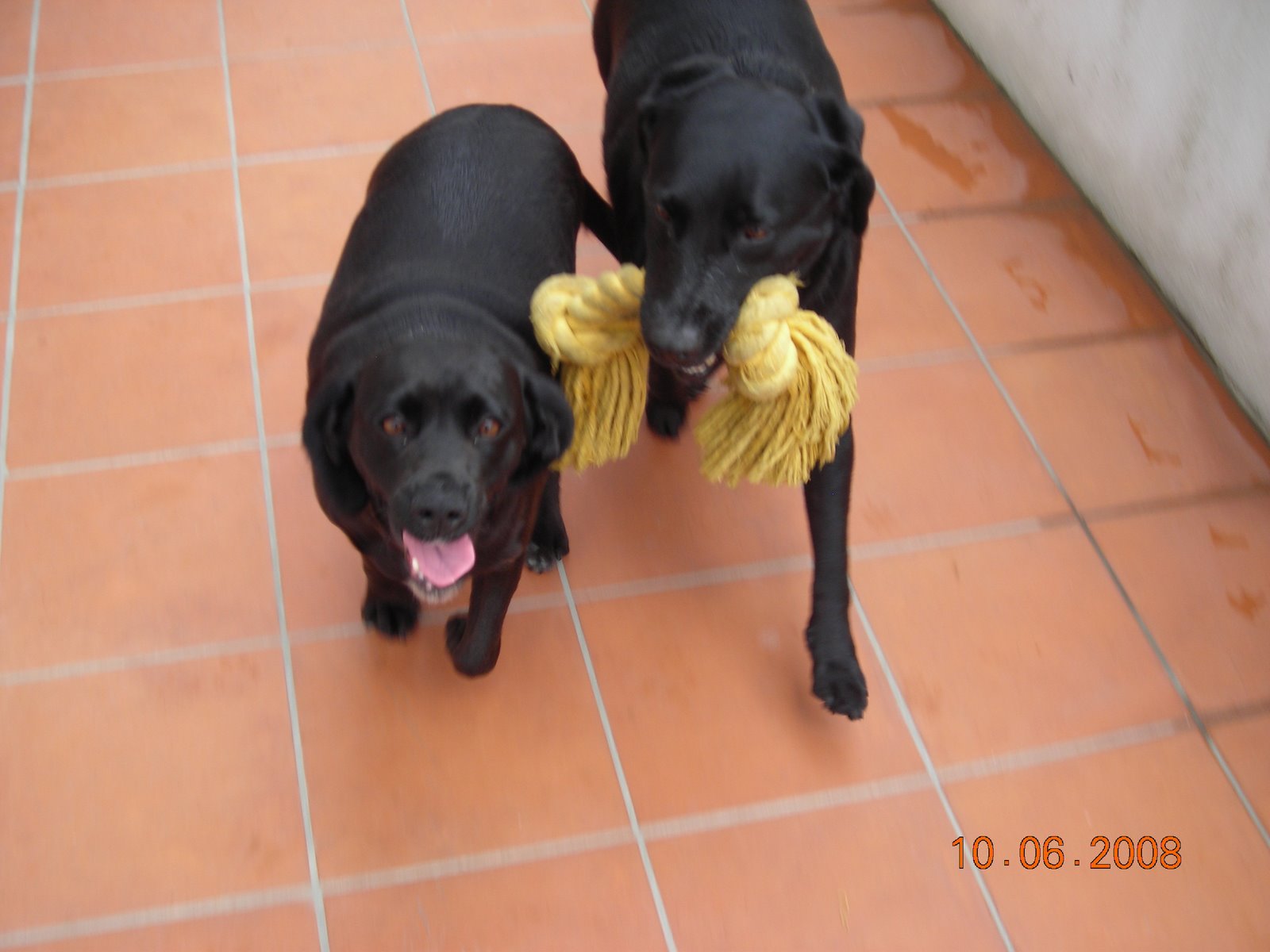 [DSCN4889.JPG]