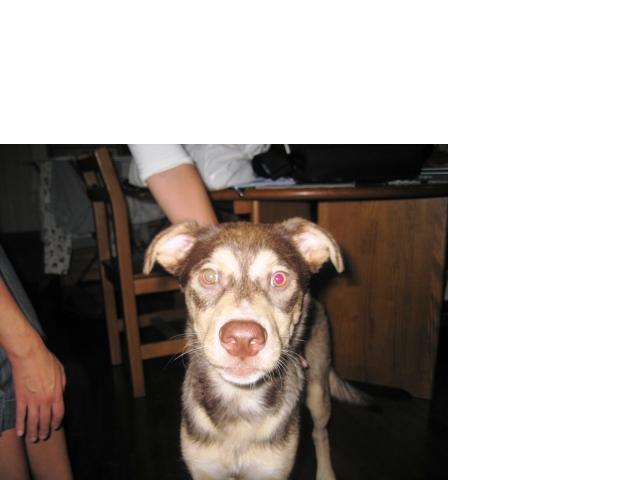 [GetAttachment2.jpg]