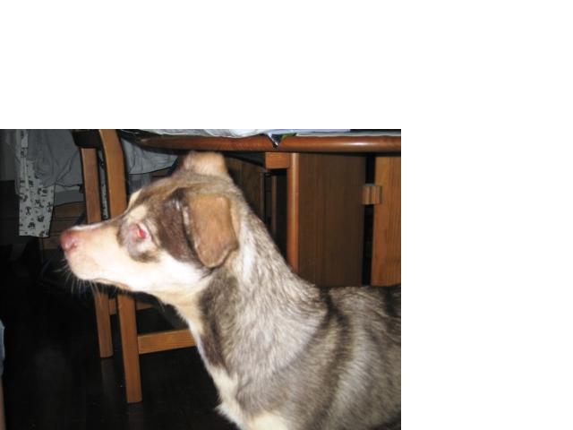 [GetAttachment3.jpg]