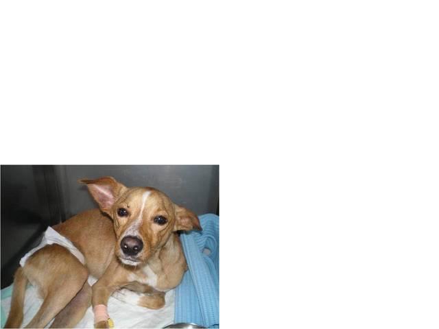 [GetAttachmentCAKYCG0Z.jpg]