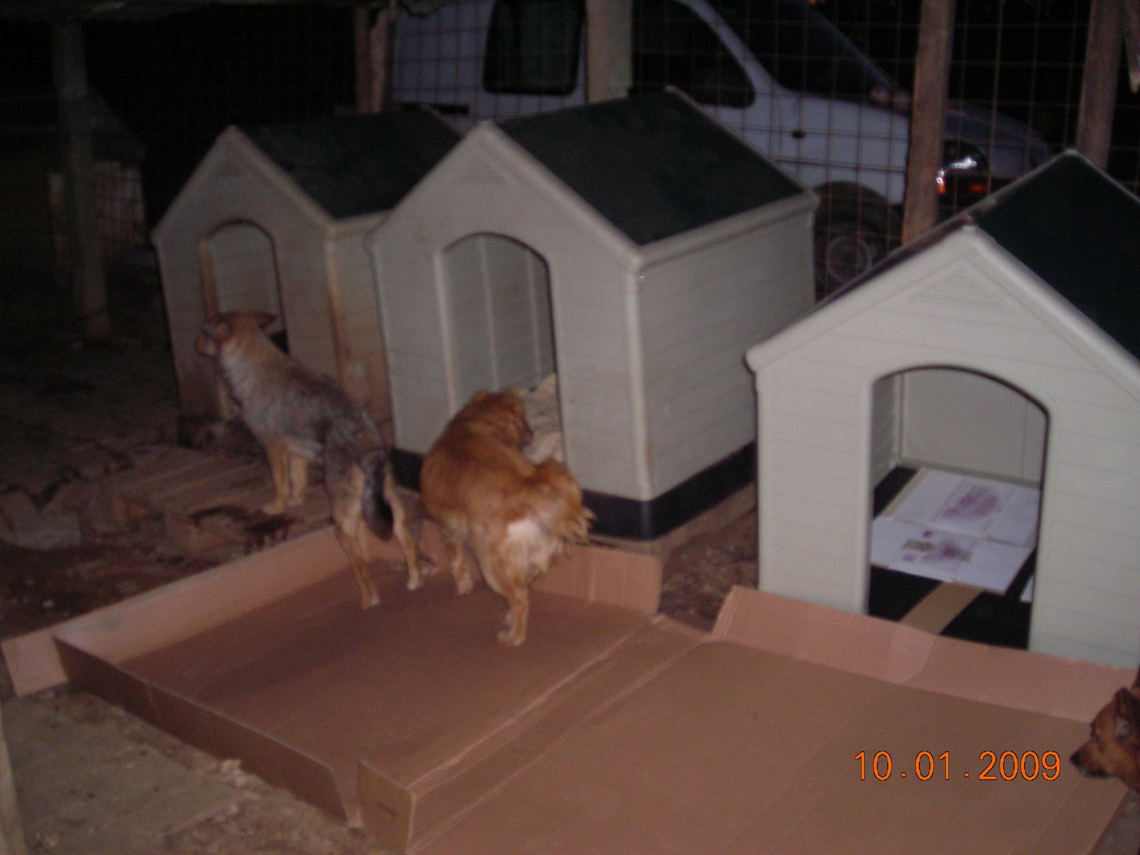 [DSCN9095.JPG]
