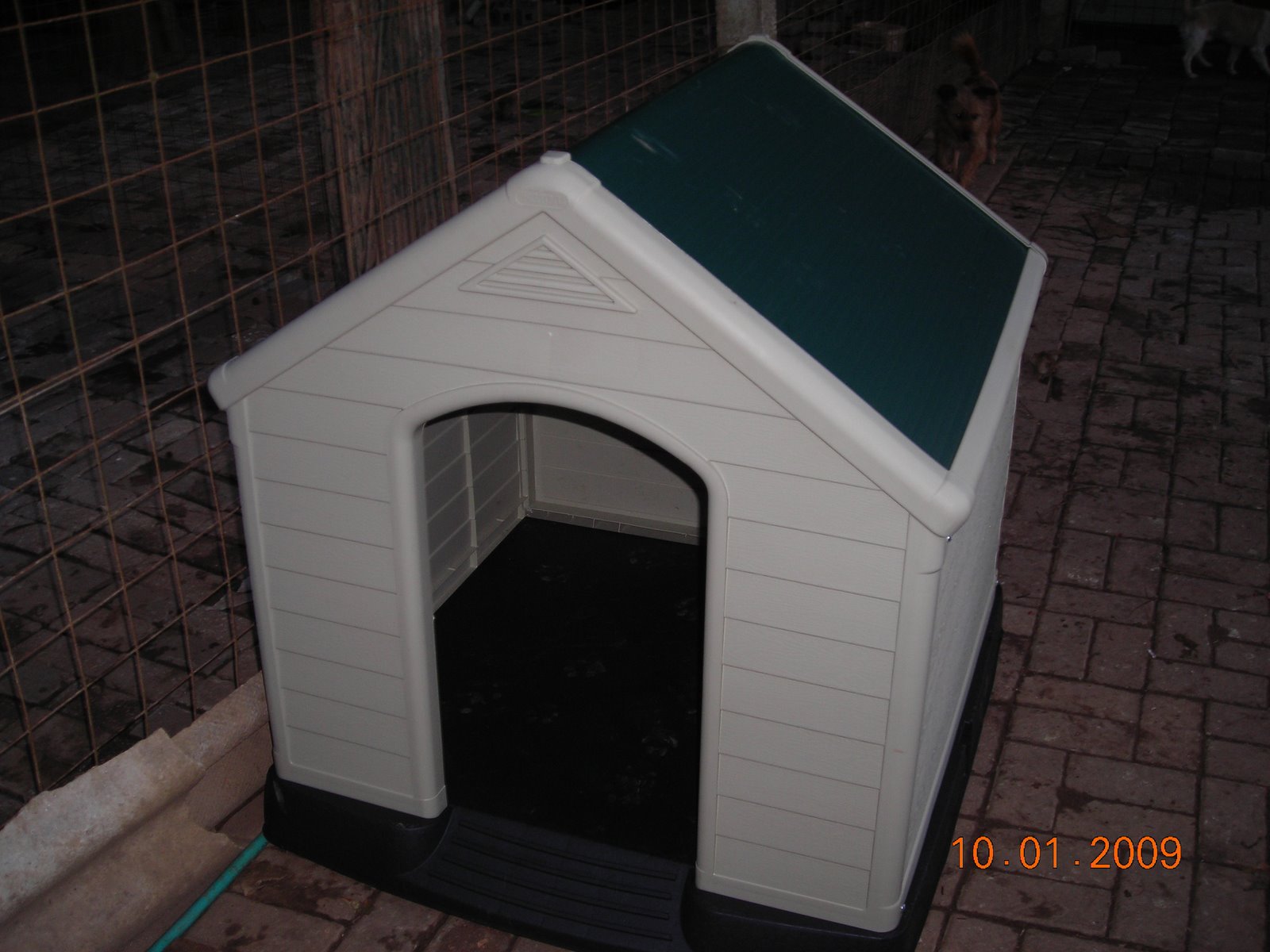 [DSCN9086.JPG]
