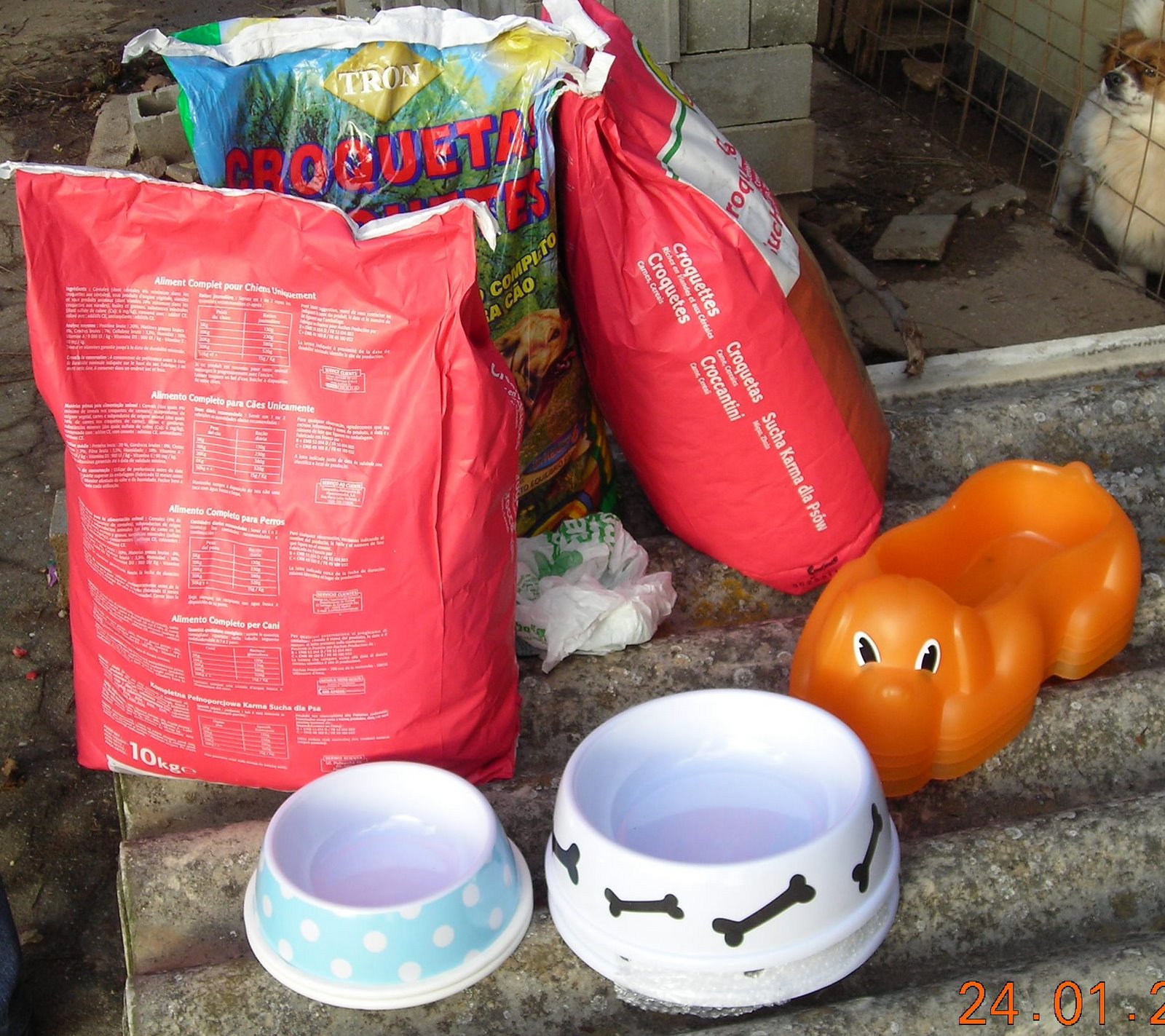 [DSCN9099.JPG]