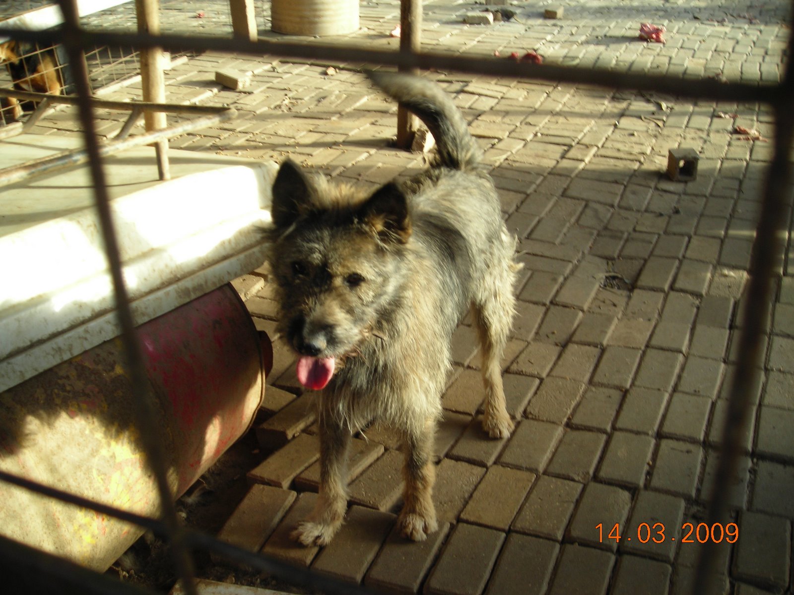 [DSCN0504.JPG]
