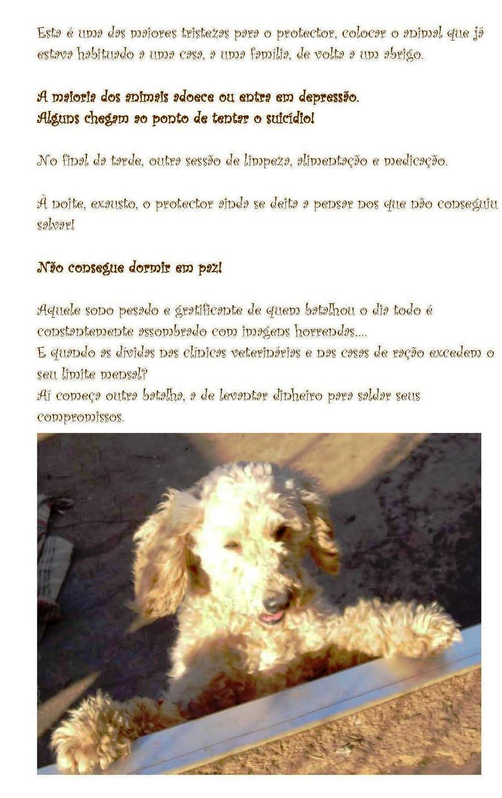 [Ass_Albergaria_a_velha_1_Page_4.jpg]