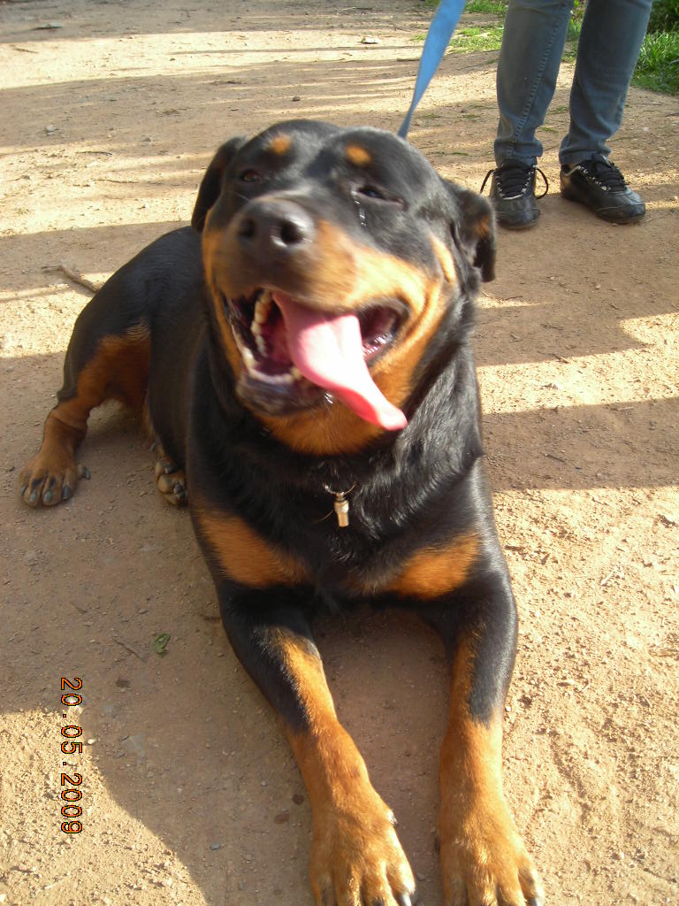 [DSCN2164.JPG]