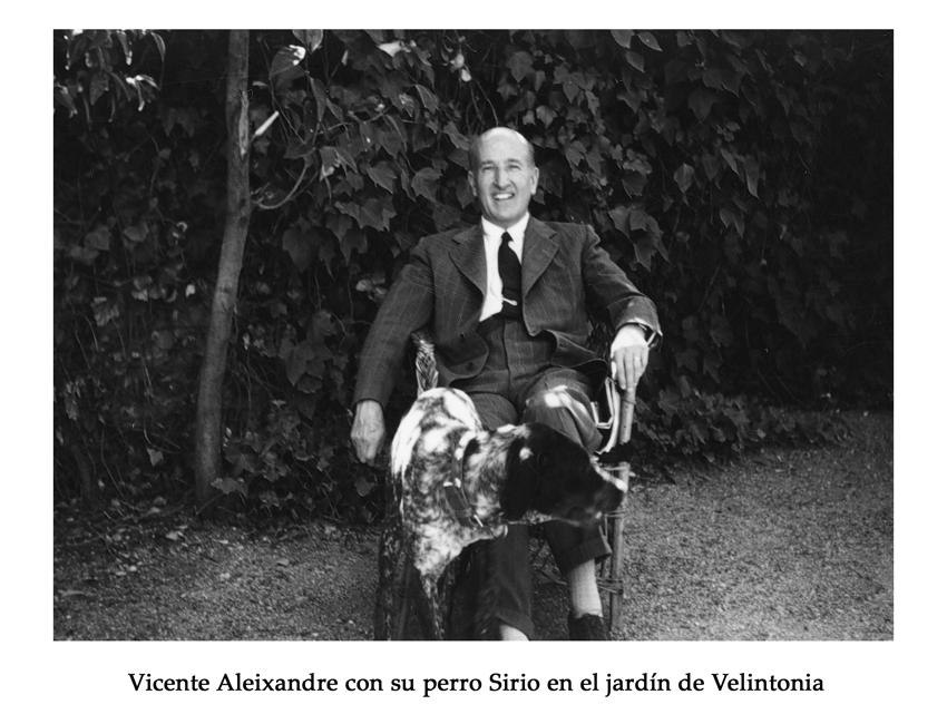 [Vicente+Aleixandre+III.jpg]