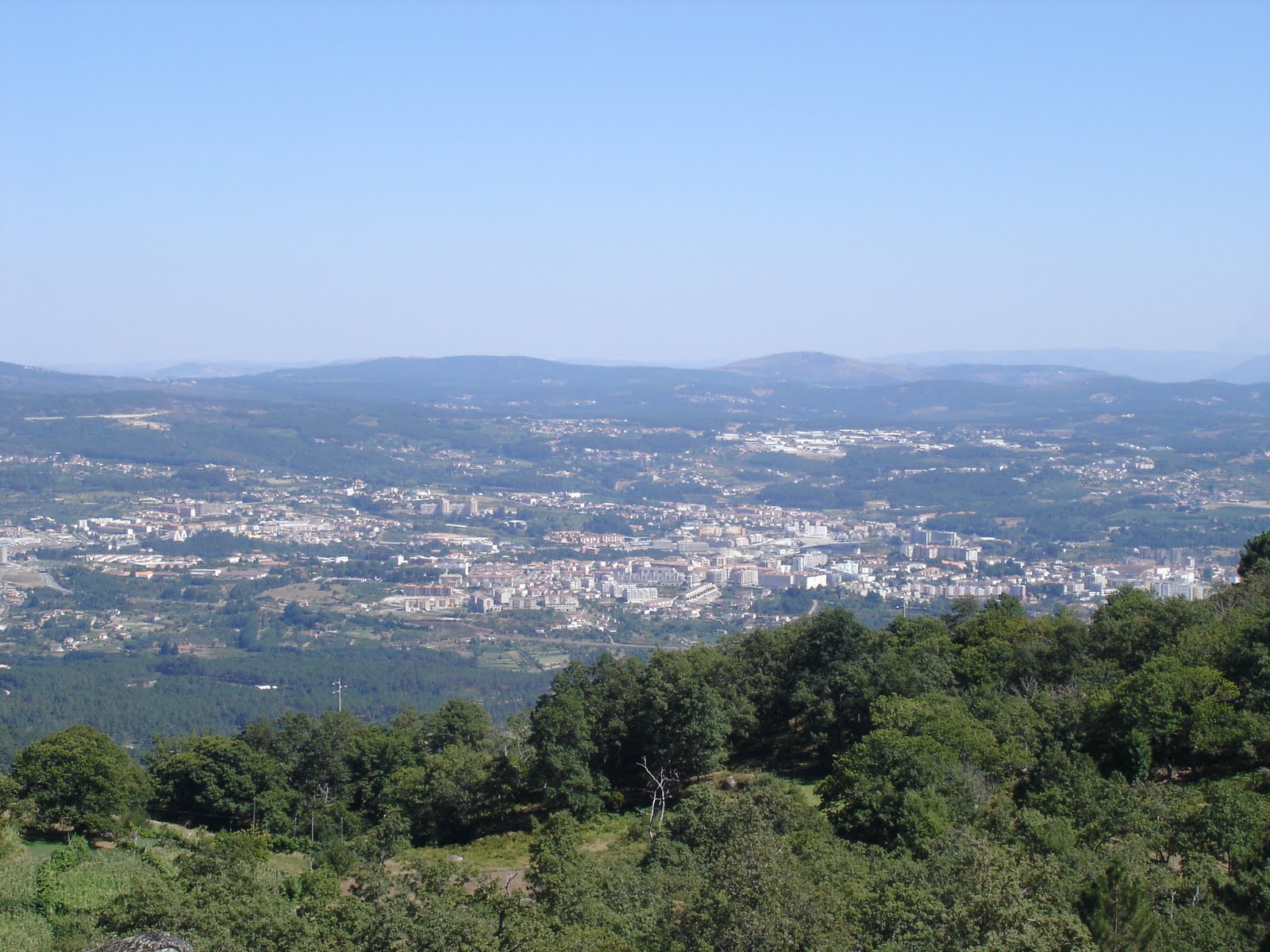 [DSC05984.JPG]